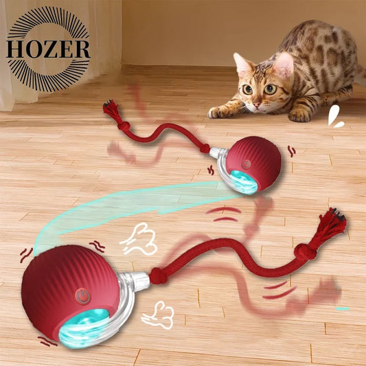 Mizusu Interactive Cat & Dog Teaser Toy with Two Additional Tails, Kitten Rolling Ball Toy, Pet Supplies, Dog & Cat Accessories Cute Dog Toys